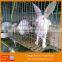 industrial rabbit cages / commercial rabbit farm cage / rabbit farming cage