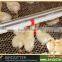 Birdsitter poultry farm equipment drinking water fountains