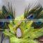 Wholesale Products China Peacock Feather Party Mask