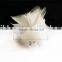 gift decorative glow in the dark ribbon