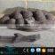 OAV2412 Real size dinosaur fossil egg for sale