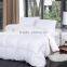 JC60*40 173*120 117'' cotton satin fabric for bed set comed