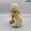 New Design Couple Bear Soft Toy for Baby