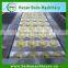 High efficiency Cherry /Fruit seed remove machine /equipment with the factory price 008613253417552
