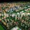 Custom made 3d architectural building model for urban planning