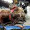 MY Dino-C038 Playground high quality fiberglass allosaurus