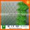 Electro Galvanized Steel Wire for Chain Link Fence