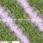 FDY printing polyester spandex fabric for clothes knitted fabric