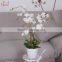 factory wholesale artificial plant weeding decoration artificial potted orchid flower