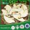 Wholesales whole and slice dried good quality mushrooms