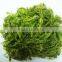 2016 crop China Frozen salted wakame seaweed good quality