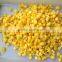 brine preservation sweet flavor with HACCP,IFS,ISO certs canned sweet corn