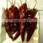 Grade A paprika, paprika pod, dried paprika-----2016 New crop