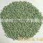 High absorbent Natural Pale Green Zeolite for Water Filter/Pool Filter/Air Filter