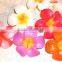 Aroma flower candle