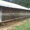 design modern automatic poultry china equipment chicken farm