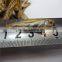 Freshwater dried fish