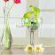Cheap home indoor decoration wine glass vases for flower arrangements