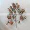 CHY070916 High initation oak tree leave outdoor