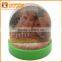 New Custom High Quality Plastic Snow Globe With Photo Insert