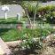 fashion garden decoration/holiday Villa decorate style grass fake turf