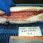 Frozen Salmon