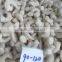 Frozen vannamei white Shrimp skinless