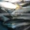 2017 New food grade pacific mackerel frozen manufactured in China