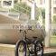 Baogl fashionable atv fat tire snowmobile electric bike with full suspension