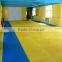 Floor Puzzle Mats Martial Arts Mats EVA Taekwondo Workout Mat