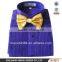 2016 men's purple wing collar tuxedo shirt with golden bowtie