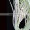 Wholesale glow in the dark photoluminescent green fabric piping ribbon for heating on garment