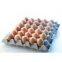 paper mould packaging