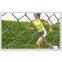 Chain Link Fence