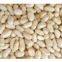 Blanched peanut kernels