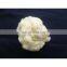 yak wool fiber supplier, dehaired yak wool brown,yak wool white 19.0mic 26mm