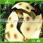 KAWAH Amusement Theme Park Fiberglass Dinosaur Eggs