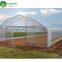 Hot Sale Single-Span Film Greenhouse Indoor