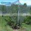 vineyard fruit tree hail protection netting white plastic anti hail net