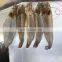 DRB Newest Product Prawn/Tempura Back Cutting Machine ,Desktop Shrimps Skin Opening Cutter