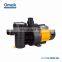 FCP 0.75kw quiet swimming pool pump