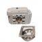 Electrical Actuator Rotary HL-20 HL-50 HL-100