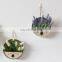 Modern simple metal simulation plant wall decoration creative home wall decoration flower basket pendant round shelf