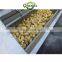 2021 GRANDE Stainless Steel Automatic Brush Roller Type Industrial Seashell Washing Cleaning Machine for Sale