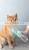 2021 Sustainable Eco Friendly Outdoor Wholesale Travel Pet Portable Dog Water Bottle