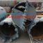 Sell 1000mm double cut rock bucket useful in hard drilling conditions of rock pile foundation