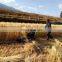 hot selling mini-harvester for wheat/fodder grass Reaper
