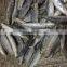 Frozen round scad exporter from China with size 55 - 70 pcs / 10 kg