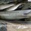 Frozen Sardine from Chinese Manufacturer with size 120-140 pcs /10kg