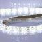 Ryker DC12 14.4W/m 2700k led strip 3528 120leds/m